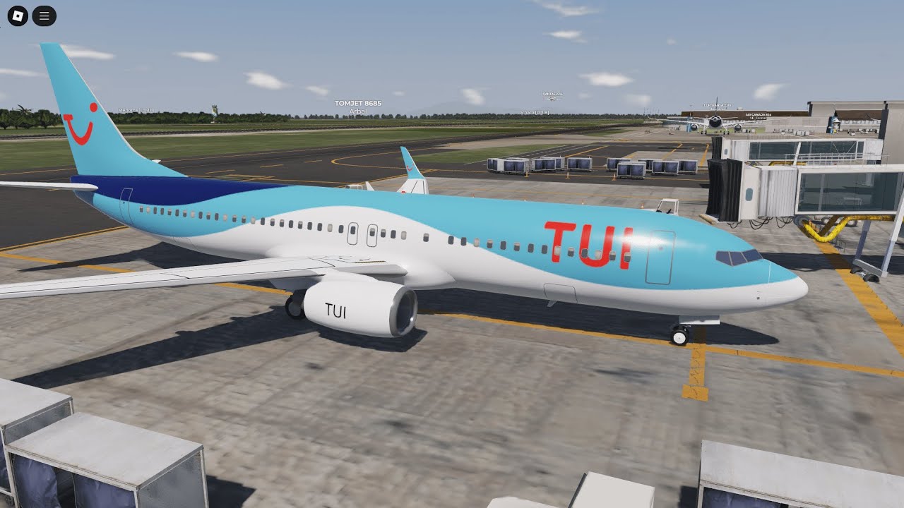 Project Flight | TUI Airways ✈️ Boeing 737 | Full Cockpit Flight Punta Cana - London Gatwick