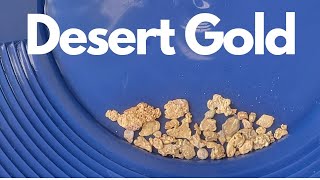 Prospecting for Gold in the Desert - Uncovering Hidden Treasures with a Metal Detector