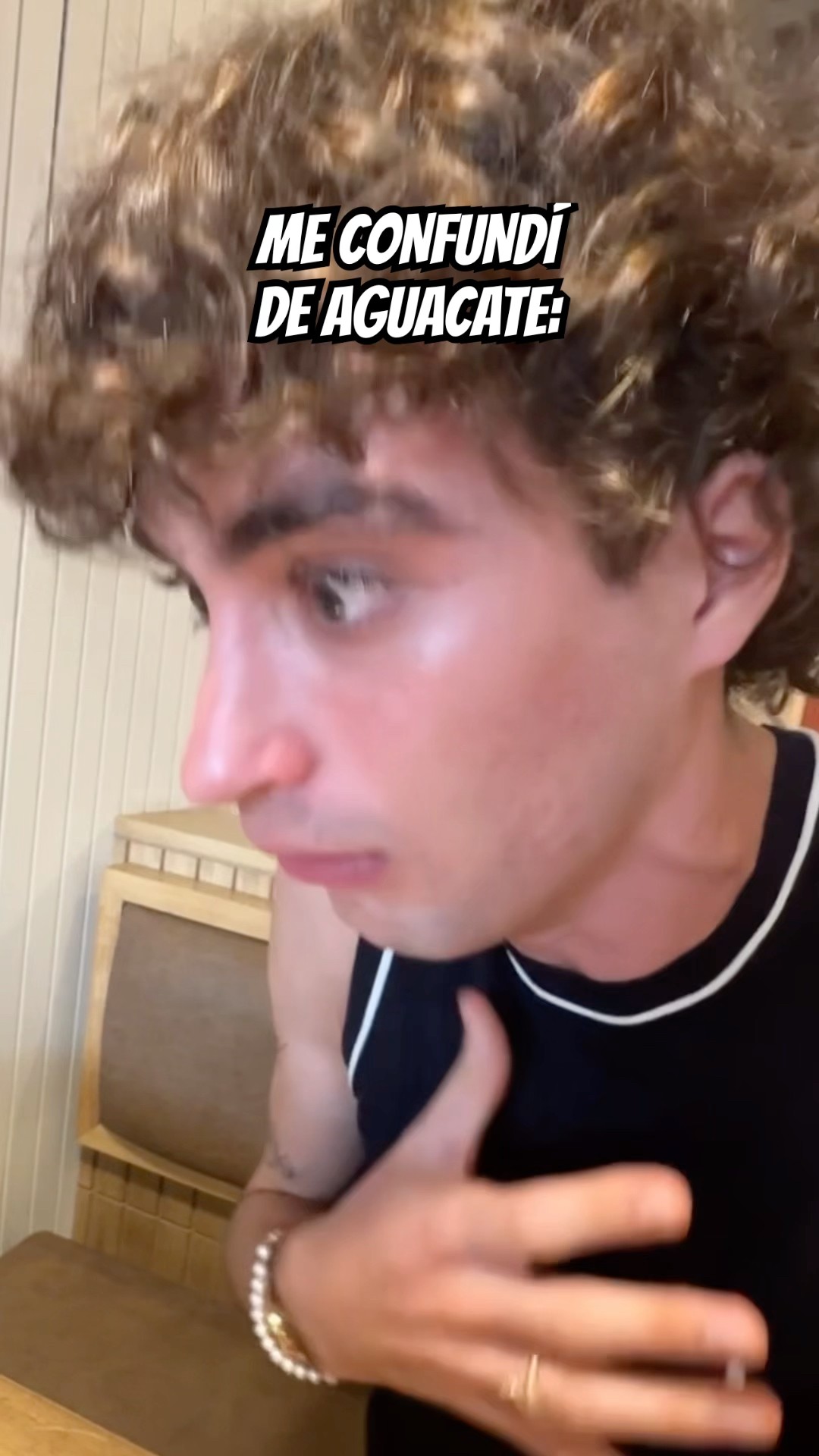 ¿SE DICE PALTA O AGUACATE?