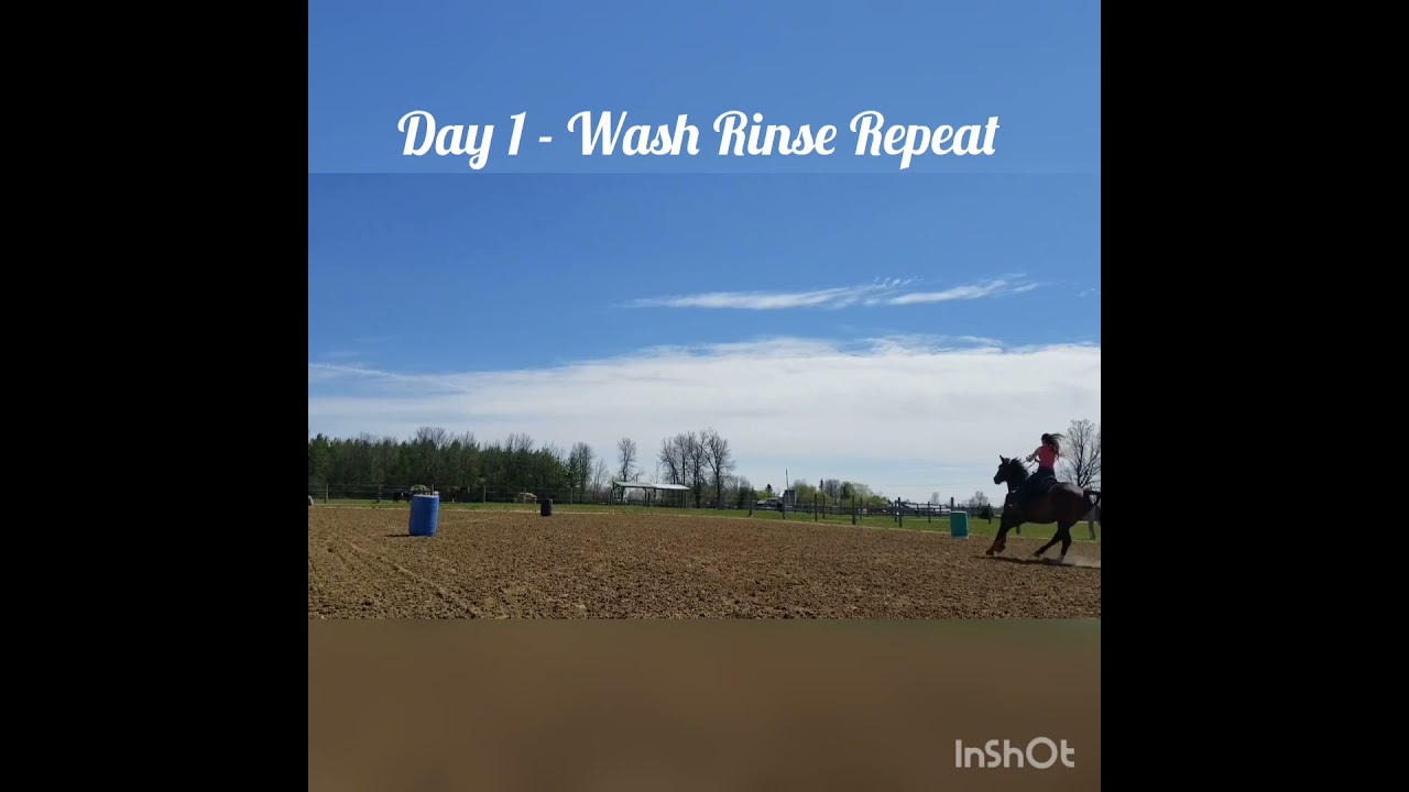 Horse Boss Challenge July Week 3 YouTube