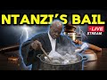 SENZO MEYIWA TRIAL RETURNS TO NTANZI S BAIL APPLICATION IN SEARCH OF MAGIC POTION TO ASSIST SENZO MEYIWA TRIAL RETURNS TO NTANZI S BAIL APPLICATION IN SEARCH OF MAGIC POTION TO ASSIST