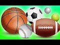 Sports and Activities Knowledge Assessment