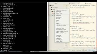 Week 2: Package Manager: JavaScript Yarn