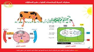 الفصل 1  التفاعلات المسؤولة عن تحرير الطاقة الكامنة في المادة العضوية على مستوى الخلية