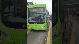 [RARE CAMEO|ECDEP FD] SG3026U 38