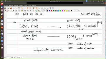 Introduction to Loop Quantum Gravity (圈量子引力) 19：Holonomy and Flux 5
