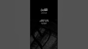 #سورة_يس #احمد_النفيس