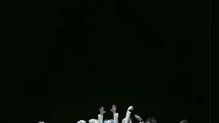 Zara Zara X Bts Black Swan