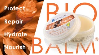 bio balm dogs