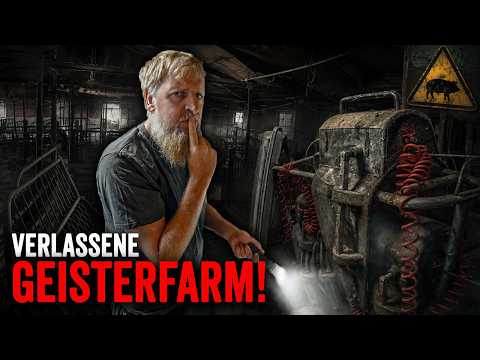 BEKLEMMEND! Hier lebten einst Tausende Schweine auf dieser riesigen verlassenen Farm