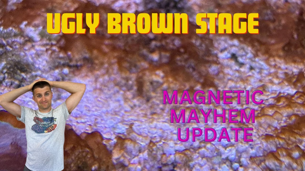Shallow Reefing Ugly Stage and Magnetic Mayhem Update