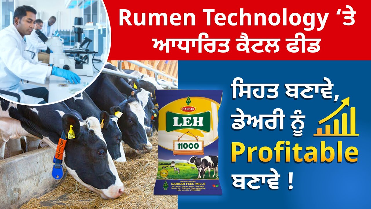 Rumen Technology ਤੇ ਆਧਾਰਿਤ ਕੈਟਲ ਫੀਡ ਪਸ਼ੂਆਂ ਦੀ ਸਿਹਤ ਬਣਾਵੇ, ਡੇਅਰੀ ਨੂੰ Profiitable ਬਣਾਵੇ !