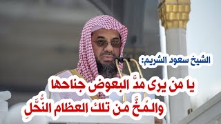 استمع من الشيخ سعود الشريم لأبيات مطلعها: يا من يرى مد البعوض جناحها .. في ظلمة الليل البهيم الأليلِ