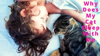 Why Does My Cat Sleep With Me? - 5 Reasons You’ll Love to Know by Cat Lovers 1,358 views 3 years ago 3 minutes, 39 seconds