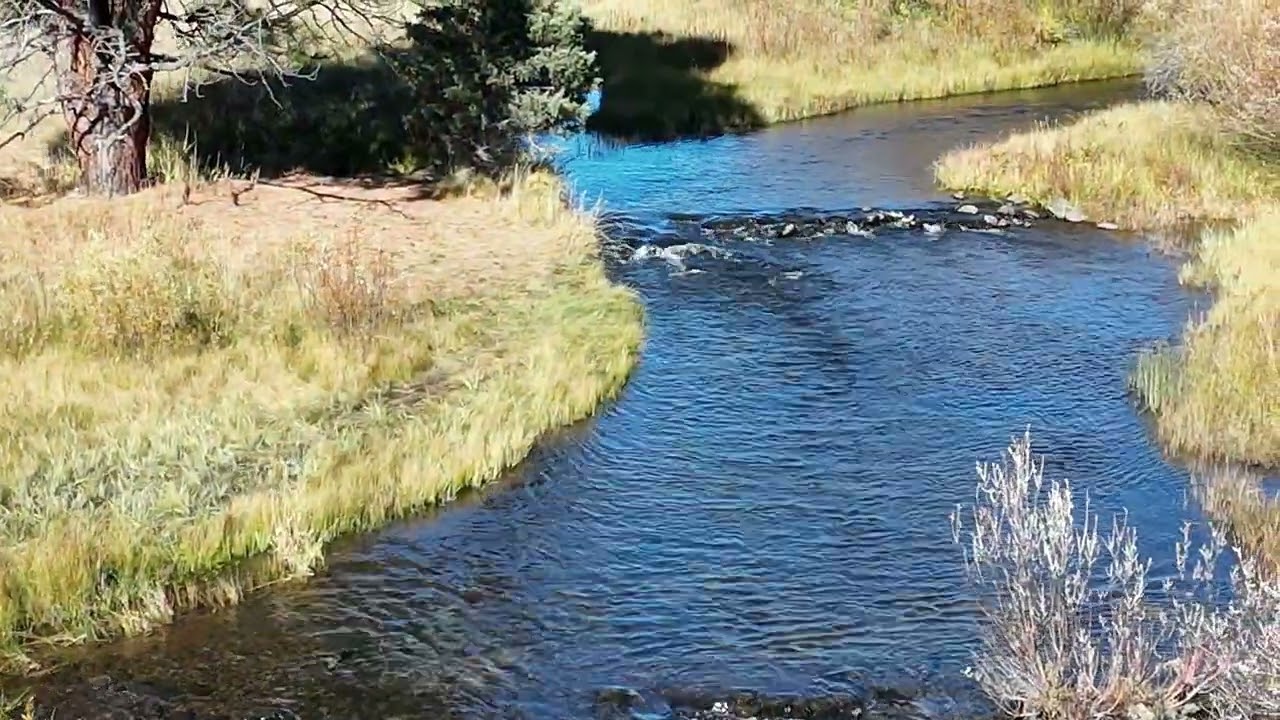 2025 Spencer Creek Fall Chinook Run