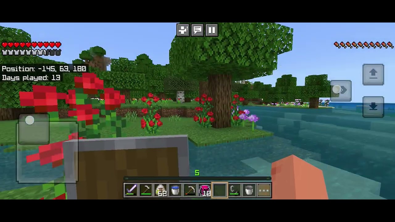 Survival series part 2