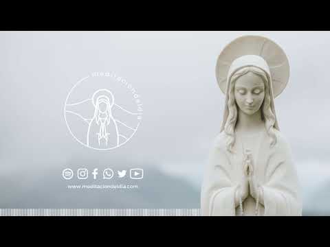 Daily Meditation | Thursday, July 23, 2026. Blessed are you
