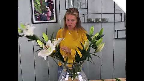 Majestic Centerpiece with Delphinium