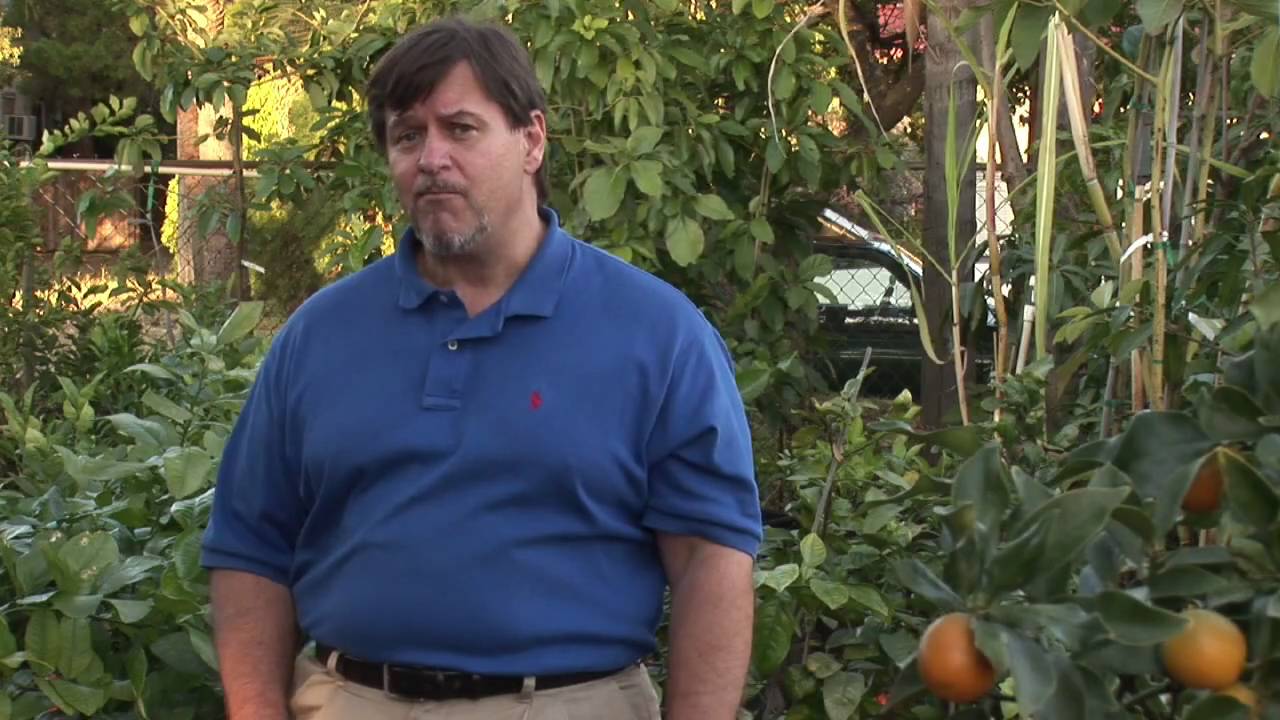 Fruit Tree Maintenance How to Fertilize Fruit Trees YouTube