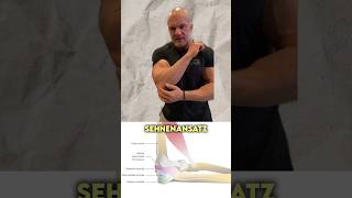 Stress Mit Dem Ellenbogen