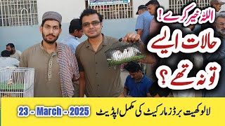 Lalukhet birds market 23-03-25 latest update sunday birds market  All birds price 2025