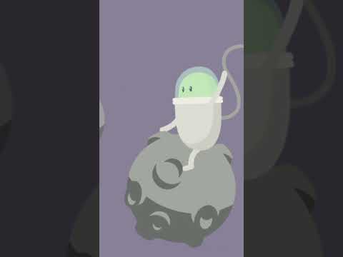 Dumb Ways To Zootopia2 Zoo Disney 