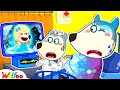 Mommy Elsa, Try Hard!   Wolfoo Takes Care of Mommy Pregnant 🤩 Wolfoo Kids Cartoon