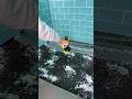 рџ рџљїEffortless Shower Tile Cleaning Power Tool Hack рџ рџљїEffortless Shower Tile Cleaning Power Tool Hack