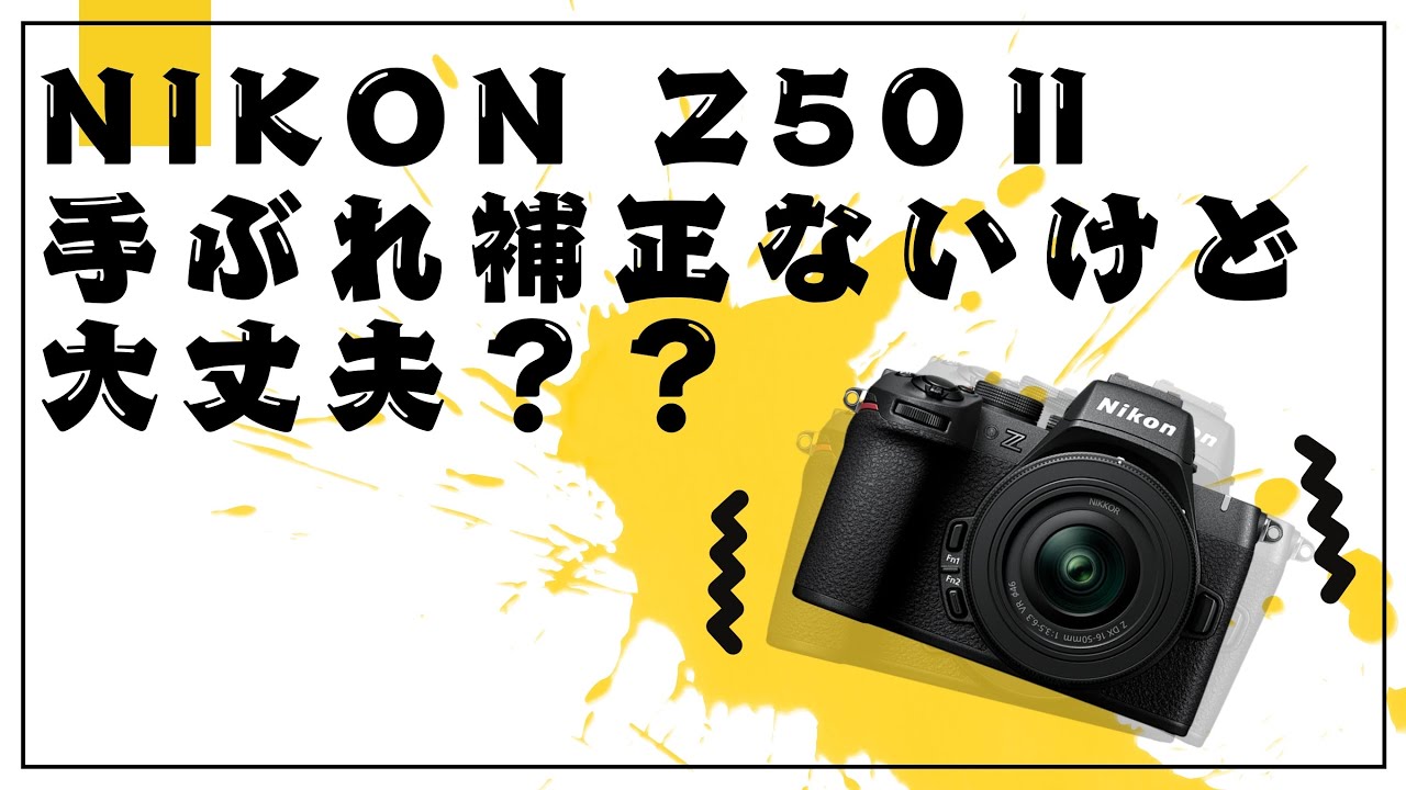 ❣状態良好❣Nikon D5000❣レンズ2本付き❣すぐ撮影OK❣手振れ補正❣ ❣状態良好❣Nikon D5000❣レンズ2本付き❣すぐ撮影OK❣