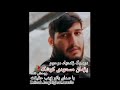 شروه غمگین باصدای بانوزینب حقیقت شروه غمگین باصدای بانوزینب حقیقت