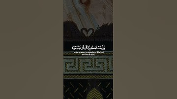 💚أجمل التلاوات الخاشعة لإمام الحرمين الشريفين الشيخ ياسر الدوسري💚 #عبدالرحمن_مسعد #ماهرالمعيقلي