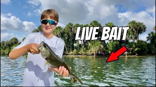 Catching Bass in Kings Bay with My Little Brother!!! (He Outfished Me) | Live Mud Minnows