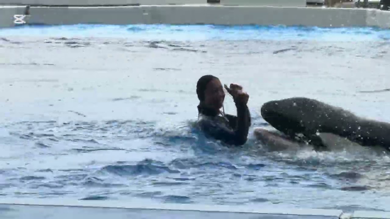 神戸須磨シーワールド オルカパフォーマンス ランちゃん20歳お誕生日 2026.2.25 14:00