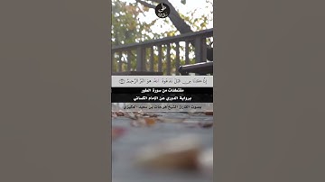 مقتطفات من سورة الطور #المصحف #اكسبلور #دويتو #تيك_توك #القرآن_الكريم #elmulquranعلم #القرآن #لايك