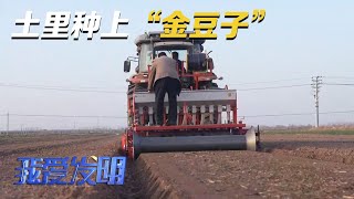 黄土地里种上“金豆子”！他们靠种植半夏实现致富，全靠这台特别的播种机！起垄、播种、放置滴灌带三位一体，简直就是为半夏专门打造的！|「我爱发明」20230713
