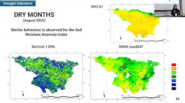 Eirini Trypidaki: Advancing High-Resolution Drought Monitoring: Evaluating RS soil moisture products