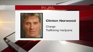 Jefferson County marijuana bust