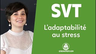 L'adaptabilité au stress - SVT - Terminale - Les Bons Profs screenshot 2