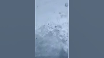 آية من سورة النمل: "وإن ربك ليعلم ما تكن صدورهم وما يعلنون" بصوت القارئ إسلام صبحي