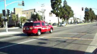 LACoFD battalion 20