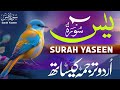 Surah Yaseen With Urdu Translation By Qari Mansoor Ghaznawi | Holy Quran Hindi Tarjuma | Episode 14