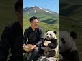 敢碰我喫的?看熊貓寶寶揍不揍你就完事兒🐼 熊貓寶寶護食超兇!敢動它的好喫的?直接上手揍你沒商量~ #國寶熊貓 #熊貓 #大熊貓 #也太可愛了吧 #護食