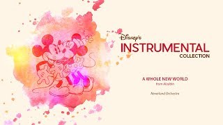 Disney Instrumental ǀ Neverland Orchestra - A Whole New World Resimi