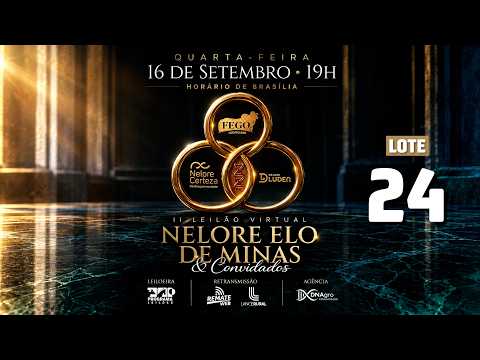 LOTE 24   GENN 884