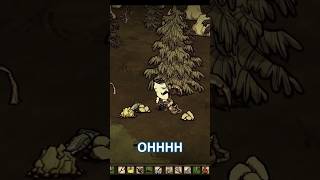 Our Real Life Cats in Dont Starve Together