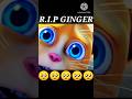 Rip ginger  tom friends sad story viral tocacutebee sad shortsshort cosplay bmmarrygamez