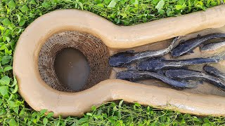 Making Trap To Catch Catfish In The Secret Hole | Amazing Trap Fishing | Easy Trap Fishing