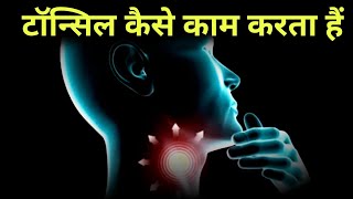 टॉन्सिल कैसे काम करता हैं - how tonsils work in hindi