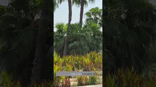101 - Principles of Ecology in Spatial Planning