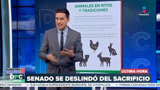 Una gallina fue sacrificada en el Senado de la República | DPC con Nacho Lozano